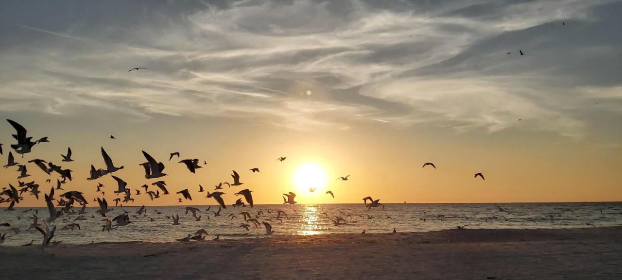 Pelican Pointe 2A Clearwater Beach Ngoại thất bức ảnh
